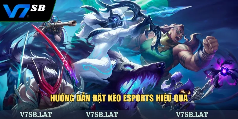 Hướng dẫn đặt kèo esports hiệu quả