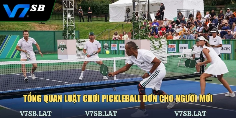 Tổng quan luật chơi pickleball đơn cho người mới